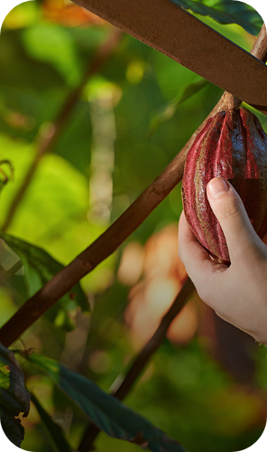 Fundación Luker apoya a los Agricultores