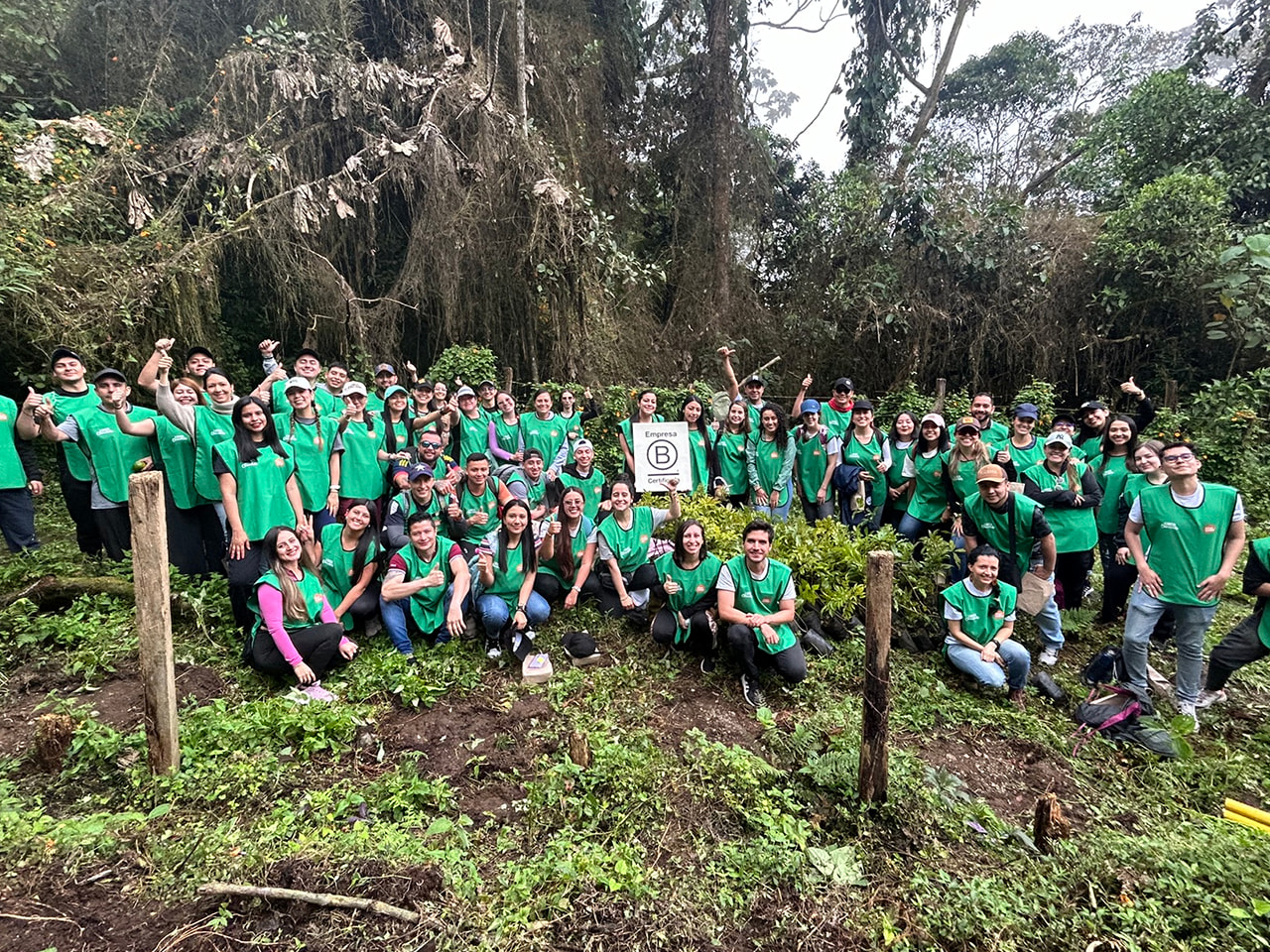 Equipo Luker Verde