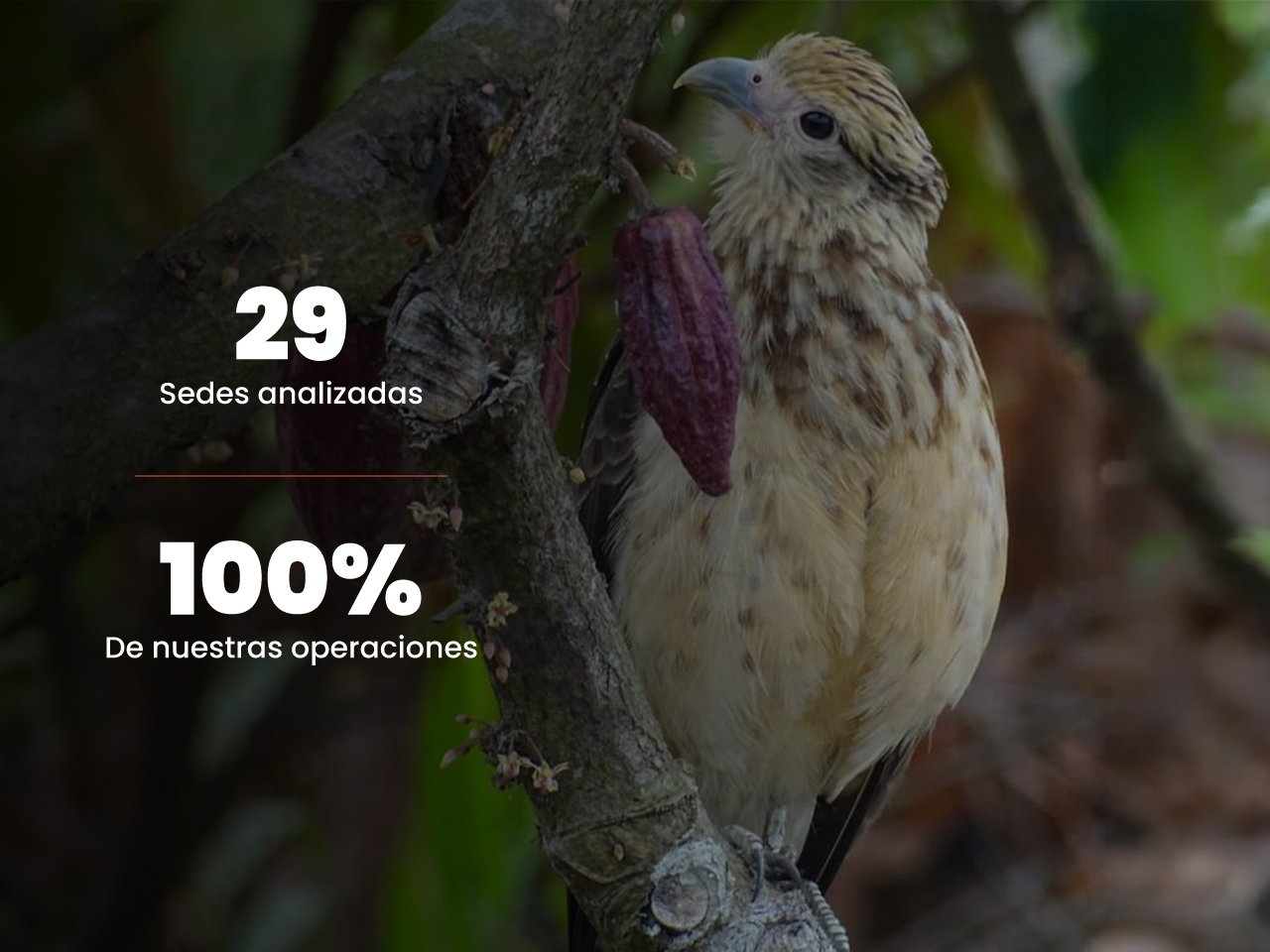 Naturaleza y Biodiversidad